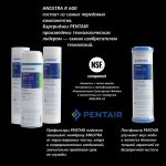 angstra-600-kartochka-02_1-kartridzhi