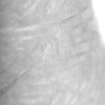 img_1665